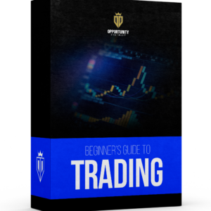 Beginner's Guide to Trading